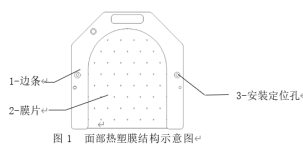 Thermoplastic  Mask